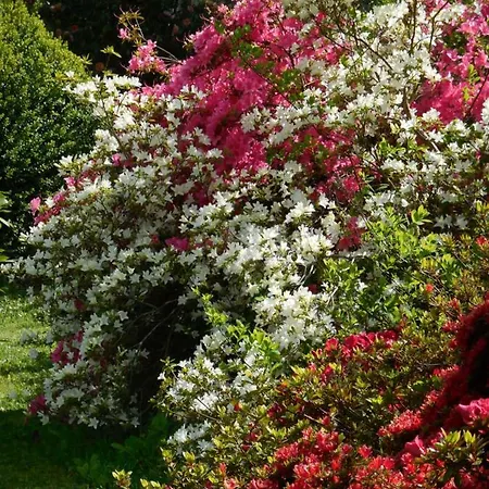 Clairmont Bagnoles de l'Orne Normandie